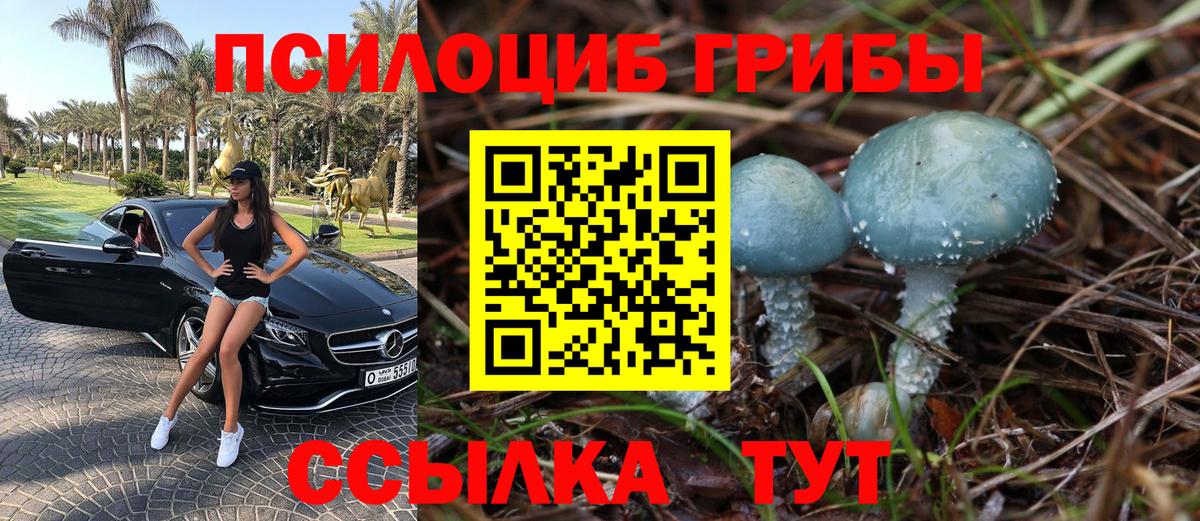 Псилоцибиновые грибы Cubensis  Псилоцибиновые грибы мицелий  Балабаново  Вход с VPN 