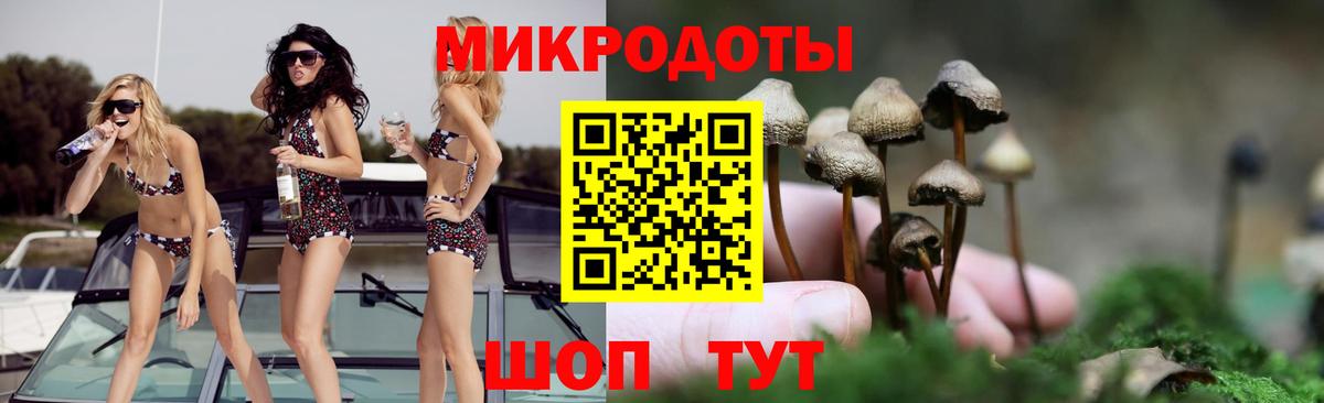 Псилоцибиновые грибы GOLDEN TEACHER Балабаново