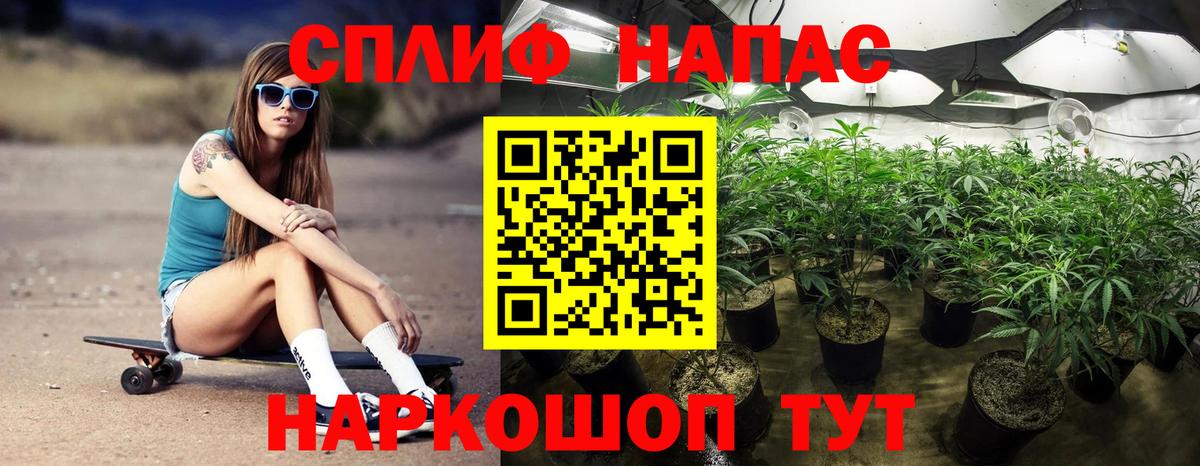 Бошки марихуана гибрид Балабаново